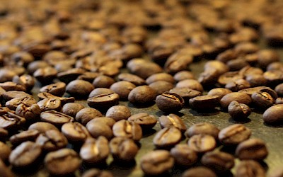 Imping Kaffee