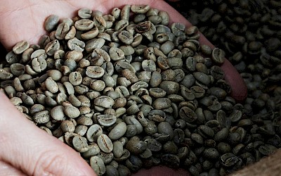 Vollmer Kaffee