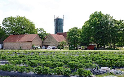 Hof Spielbrink
