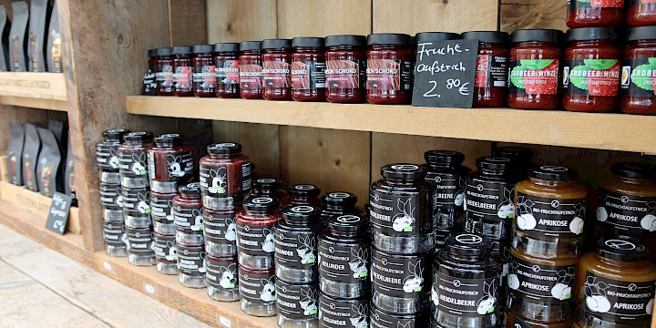 Foto 1 zu Alexianer START GmbH