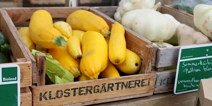 Foto 1 zu Alexianer START GmbH